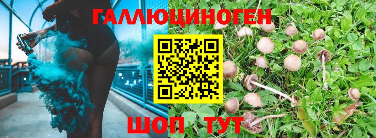 Галлюциногенные грибы прущие грибы Выборг