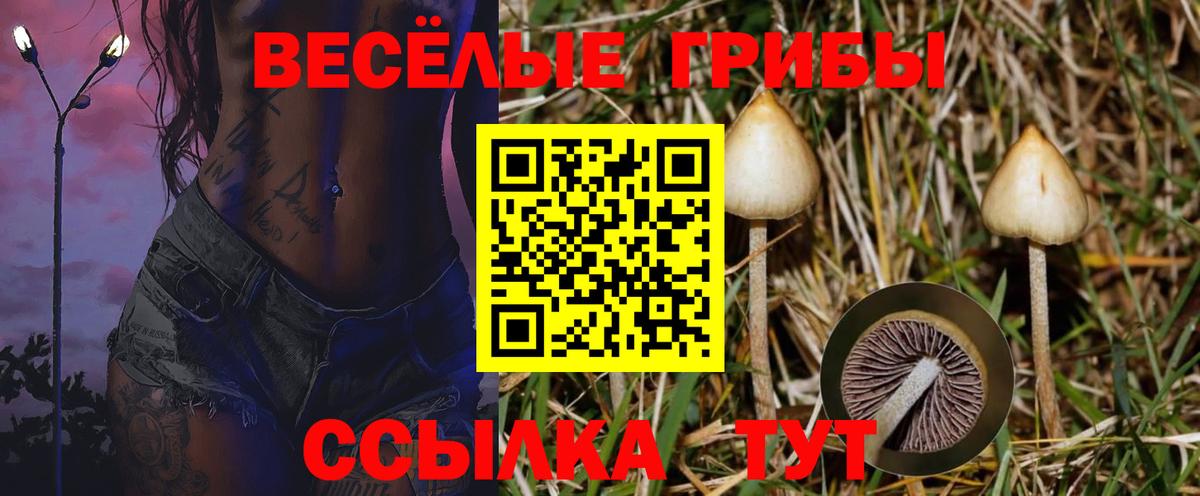 Alpha-PVP Выборг